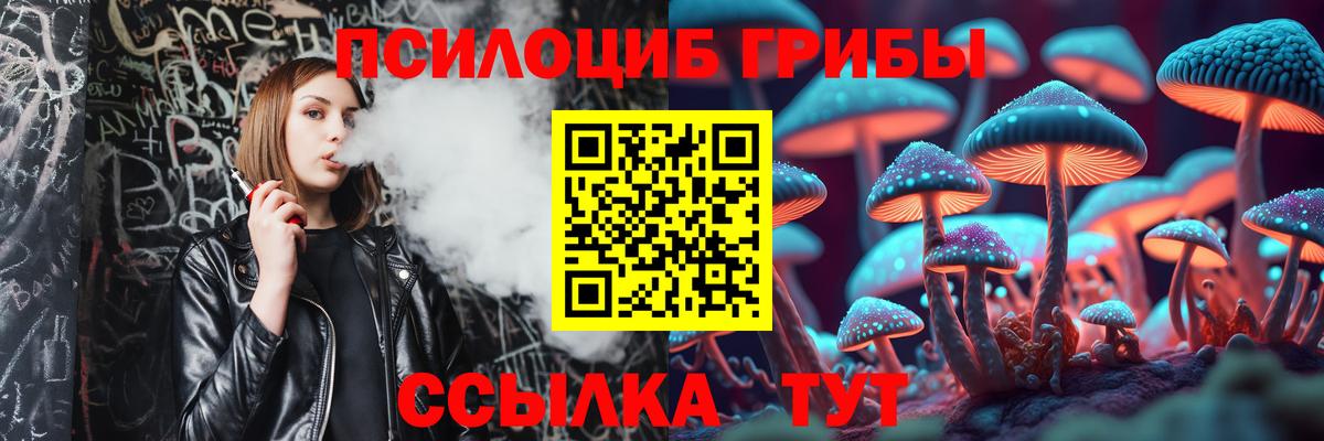 Галлюциногенные грибы Psilocybe Ефремов